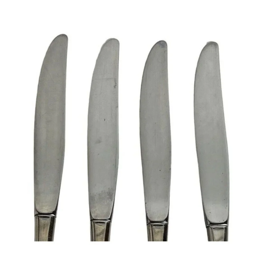 4 Oneida Community‎ SPRING ROSE Stainless Knives 9 Inch Betty Crocker Knife VTG